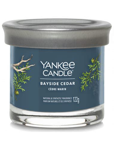 Cèdre marin Petite jarre Yankee Candle Ma Jolie Bougie