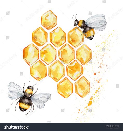 Honey Watercolor Over 22 396 Royalty Free Licensable Stock