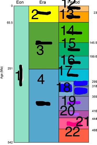 Geologic Time Scale Part Flashcards Quizlet