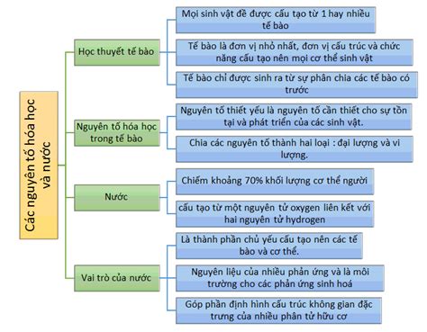 Hướng dẫn vẽ sơ đồ tư duy nguyên tố hóa học cho người mới bắt đầu