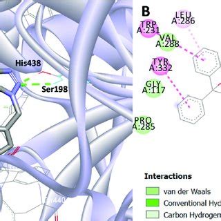 Proposed Binding Mode Of Compound B In The Active Site Of Buche Pdb