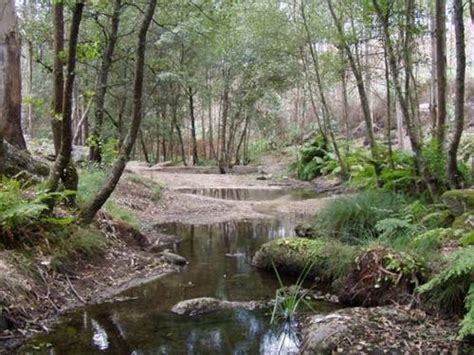 Rio Leça Criação do Conselho de Bacia é a chave para o sucesso O