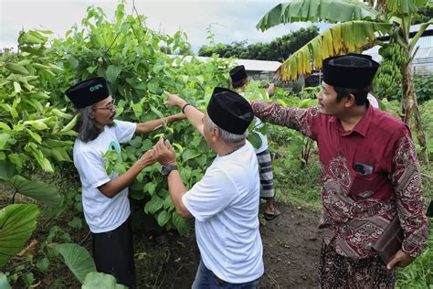 Perkuat Ekonomi Dan Ketahanan Pangan Kiyai Muda Jatim Dukung Budi Daya