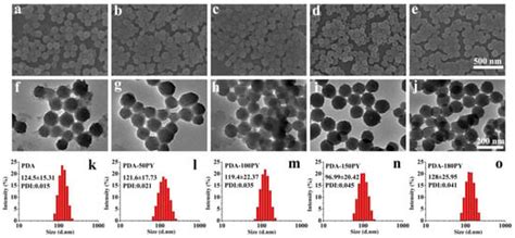 Pyrrole-Doped Polydopamine-Pyrrole (PDA-nPY) Nanoparticles with Tunable ...