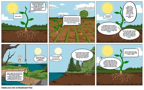 Photosynthesis And Cellular Respiration Storyboard