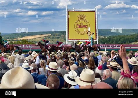 Goodwood Race track Stock Photo - Alamy