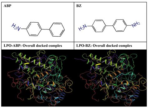 Molecular Interactions Of Carcinogenic Aromatic Amines Aminobiphenyl