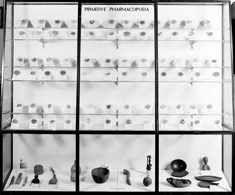 Wellcome Museum Primitive Medicine Pharmacopoeia Wellcome Collection