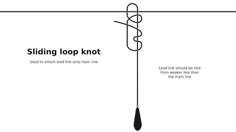 How to use a paternoster rig - Amateur Angling