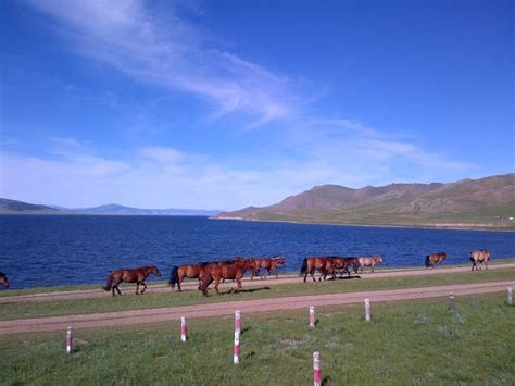 Tour Hostel Budget Tours In Mongolia Highlights Of Mongolia