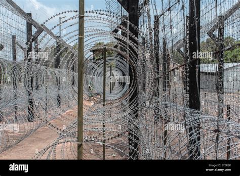 Barb wire border / guarded fence Stock Photo - Alamy