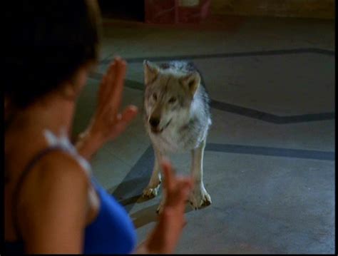 Image 6x14 Wolf Charmed Fandom Powered By Wikia