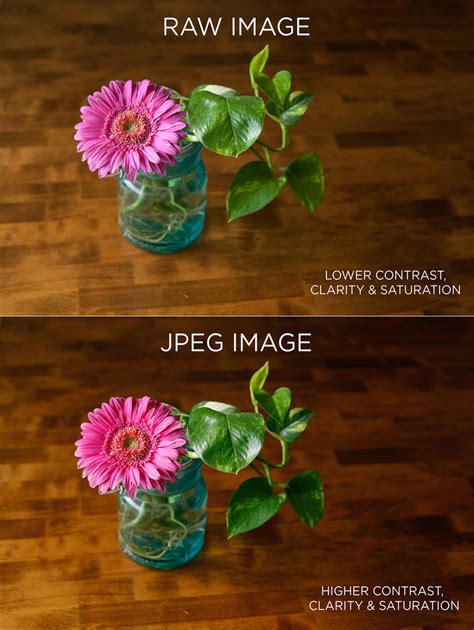 Raw Image Format Everything You Need To Know Pretty Presets For