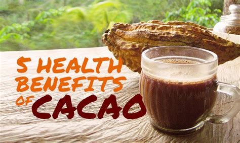 5 Health Benefits of Organic Cacao Nibs - DoYou