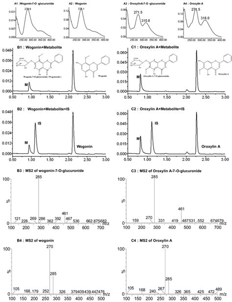 Use Of Isoform Specific Ugt Metabolism To Determine And Describe Rates