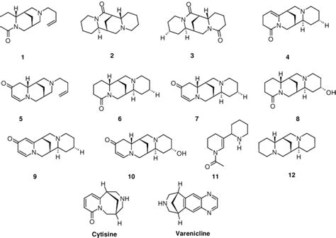 Chemical Structures Of Varenicline Cytisine And Alkaloids Of The Total Download Scientific