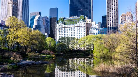 youd  surprised    costs    nycs iconic plaza