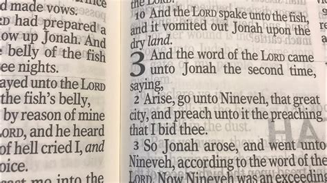 Jonah Chapter 3 YouTube