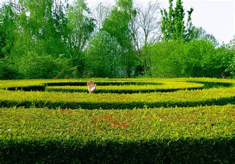 Hedge Maze Pictures | Download Free Images on Unsplash