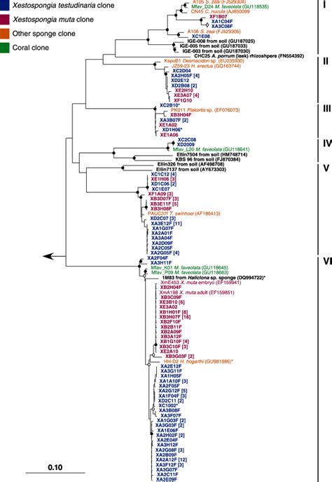 Neighbor Joining Tree Of The Acidobacteria 16s Rrna Gene Sequences From