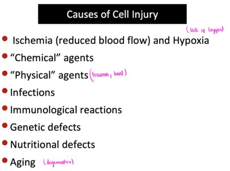 Injury Flashcards Quizlet