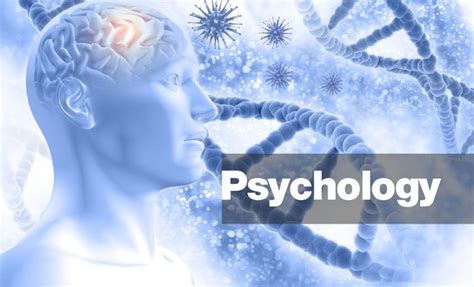 BSc Psychology: Top 7 Must-Know Subjects for Success