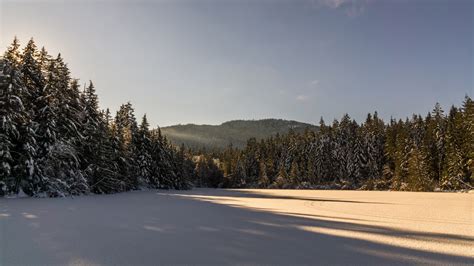 Wallpaper Sunlight Landscape Forest Nature Snow Winter Road