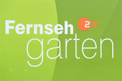 ZDF Fernsehgarten Gäste DIESE Stars sind am 29 September dabei