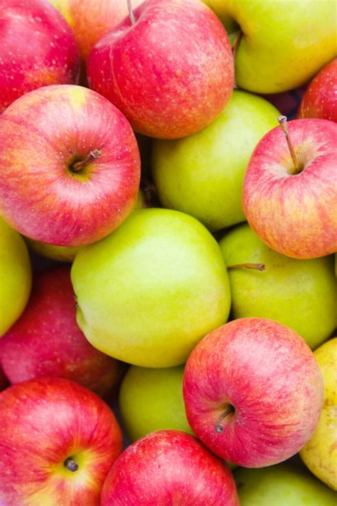 Types Of Apples Most Common Apple Varieties Know Your Produce