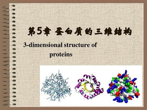 第5章蛋白质的三维结构word文档在线阅读与下载无忧文档