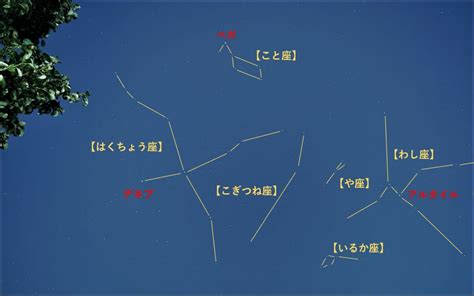 スマホで自由研究「スマホで星空を観察しよう！」 Sharp Blog