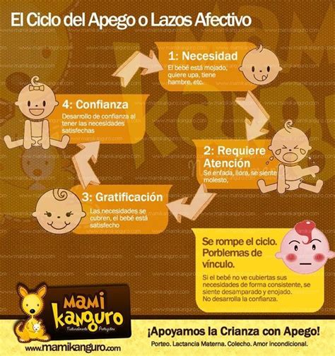 Ciclo Del Apego Happy Mommy Attachment Parenting New Baby Products