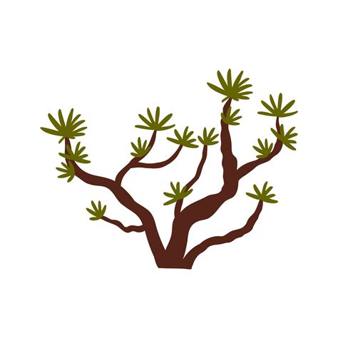 desert plant in flat hand drawn style. wild west, desert, plants ...