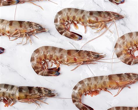 Comprar langostino tigre de Sanlúcar Pescados Saturnino