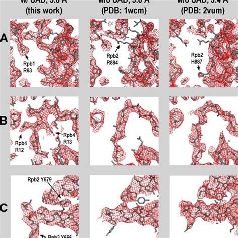 Comparison Of 2fo Fc Electron Density Maps Based On Either The Current