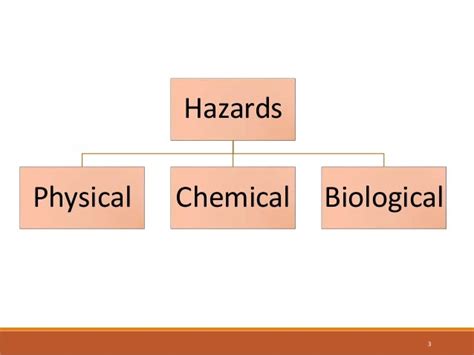 Physical And Chemical Hazards In Food