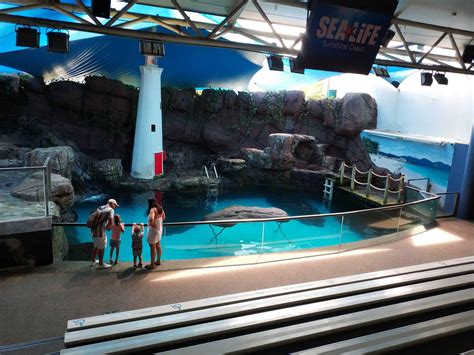 SEA LIFE Sunshine Coast Aquarium Cheap Tickets - Mooloolaba, QLD