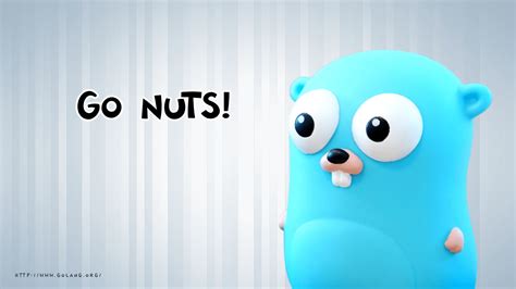 Golang Wallpapers Top Free Golang Backgrounds WallpaperAccess