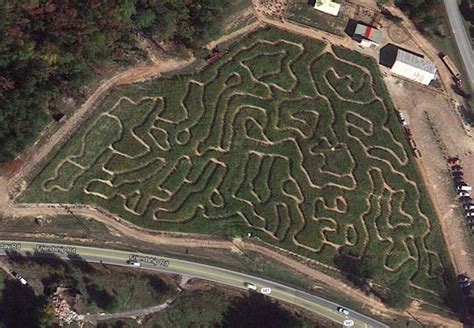 Aerial View Of The Buford Corn Maze In 2011 Corn Maze Aerial View Maze