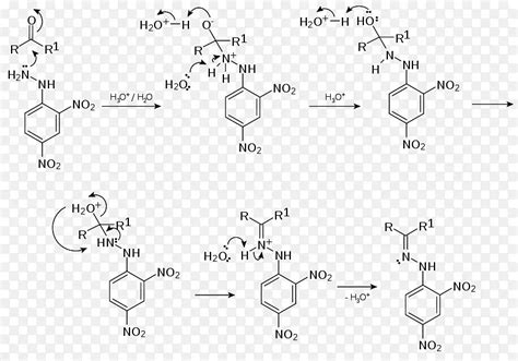 2，4 二硝基苯肼化学反应机理醛羰基 机理png图片素材下载图片编号5340981 Png素材网