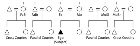 Parallel And Cross Cousins Concepts And Meaning