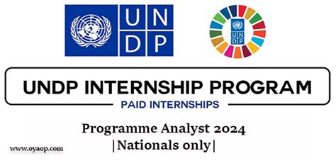 Undp Programme Analyst 2024 Paid Internship Nationals Only Oya