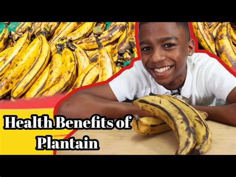 Health Benefits Of Plantain