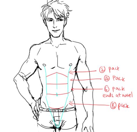 Image Body Reference Drawing Body Drawing Anatomy Reference Drawing