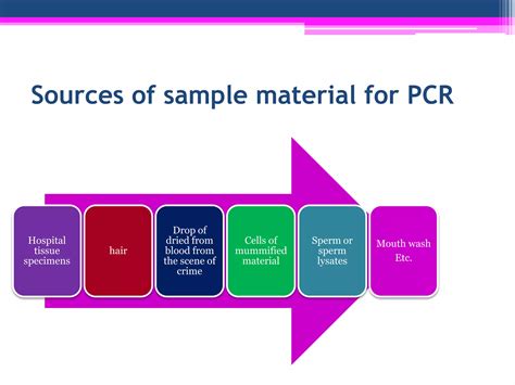 Technique Of Polymerase Chain Reaction Pcr Experimental Biotechnology