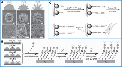 Frontiers Nanomaterial Based Immunocapture Platforms For The