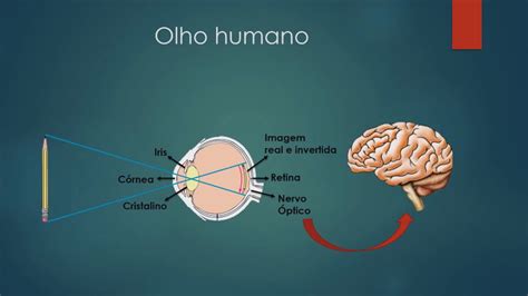 Olho Humano Funcionamento Físico e problemas de Visão YouTube