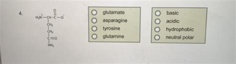 Solved Map Given The Following Four Amino Acids At Ph Chegg