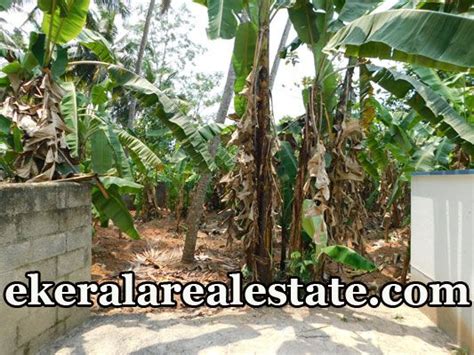 6 5 Cents Residential Land Sale At Annoor Mangattukadavu Thirumala