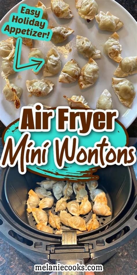 Air Fryer Frozen Mini Wontons | Air fryer recipes healthy, Frozen appetizers, Air fyer recipes